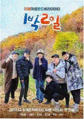风筝综艺秀 综艺 2026